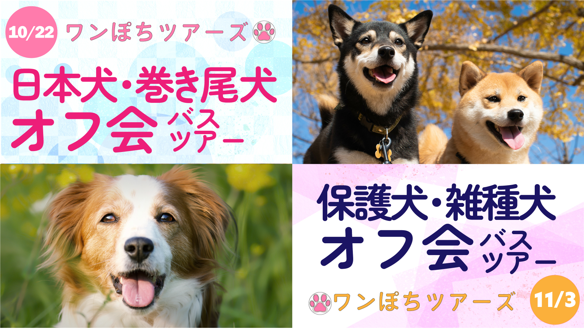 保護犬・柴犬オフ会_3.0