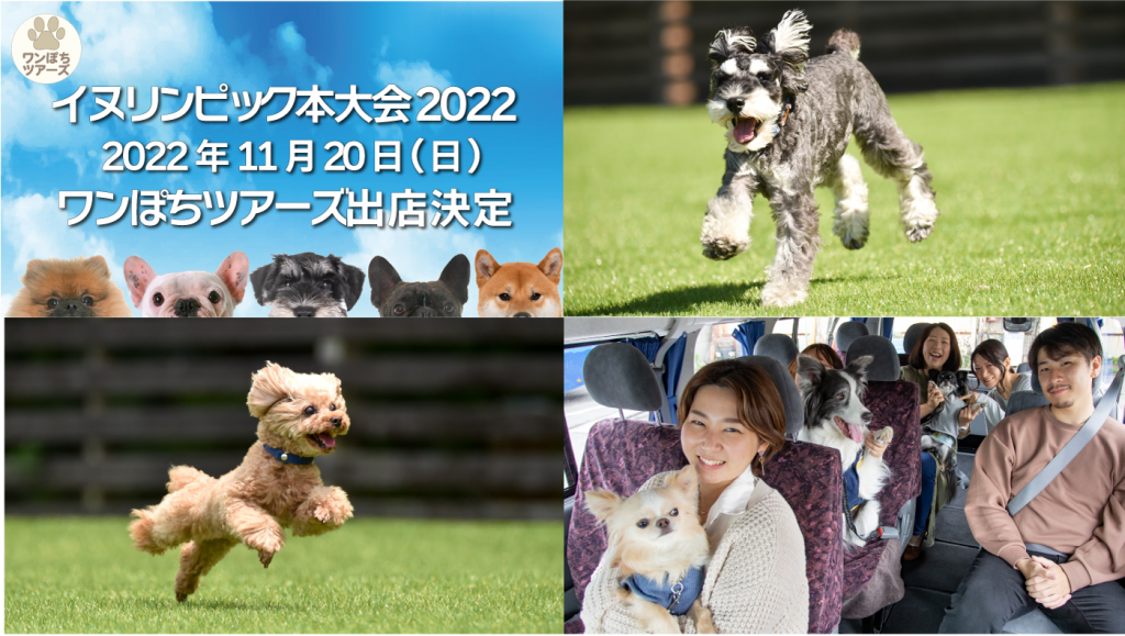 イヌリンピック①